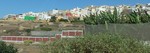 2015 Sept 27 Gran Canaria Tour with Luis 079