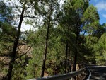 2015 Sept 27 Gran Canaria Tour with Luis 347