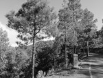 2015 Sept 27 Gran Canaria Tour with Luis 367