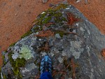 2015 Sept 27 Gran Canaria Tour with Luis 479