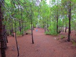 2015 Sept 27 Gran Canaria Tour with Luis 484