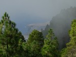 2015 Sept 27 Gran Canaria Tour with Luis 538