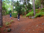 2015 Sept 27 Gran Canaria Tour with Luis 543
