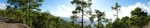 2015 Sept 27 Gran Canaria Tour with Luis 560
