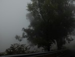 2015 Sept 27 Gran Canaria Tour with Luis 621