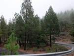 2015 Sept 27 Gran Canaria Tour with Luis 625