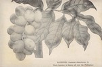 Quesada Eugenio - Paete 1956 p0005