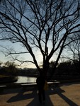 2016 Dec 8 TOPCIT Korea Trip 0541