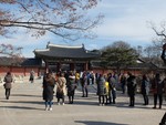 2016 Dec 8 TOPCIT Korea Trip 0378